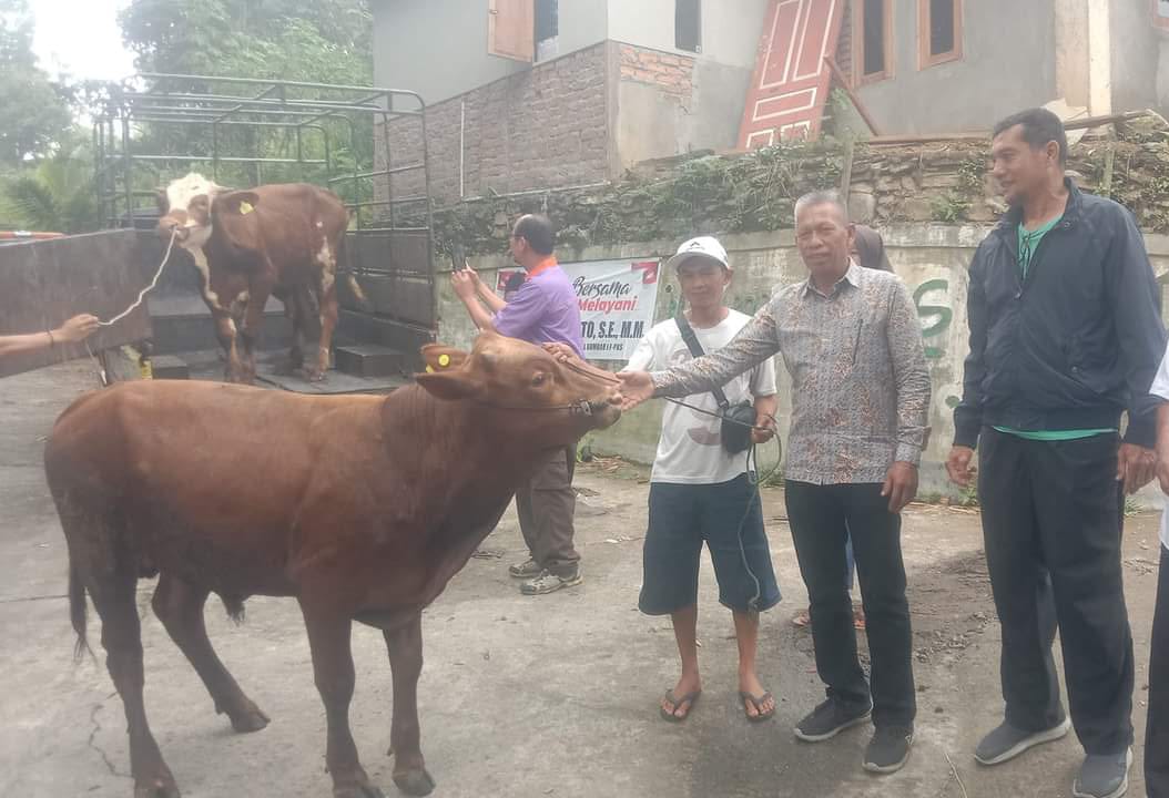 Anggota DPRD Kota Padang Panjang, Drs. Aditiawarman, saat serahkan bantuan sapi ke warga petani peternak di Kecamatan Padang Panjang Timur.